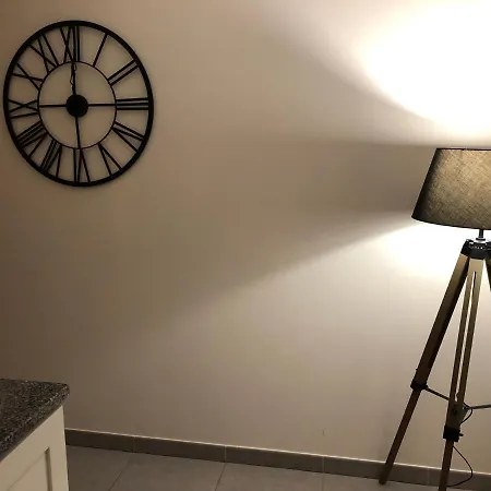 104 公寓 芒特拉若利